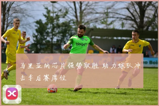 马里亚纳芯片强势取胜 助力球队冲击季后赛席位
