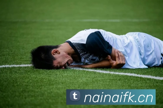 App Interface Preview